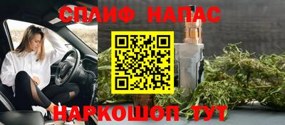 спиды Аргун