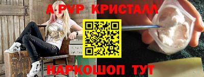 спиды Аргун
