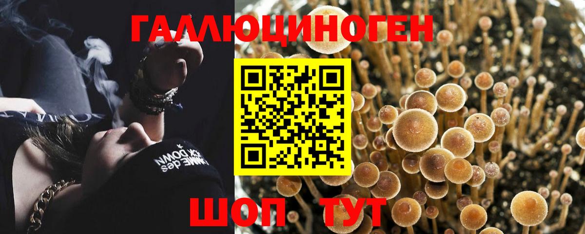Псилоцибиновые грибы GOLDEN TEACHER Великий Устюг