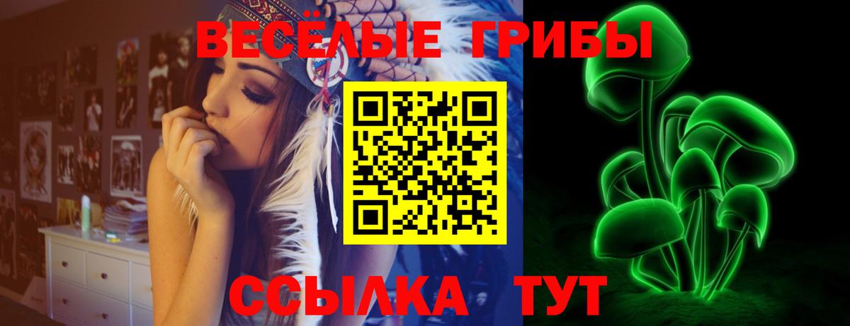Великий Устюг  Галлюциногенные грибы Psilocybe  Вход с VPN 